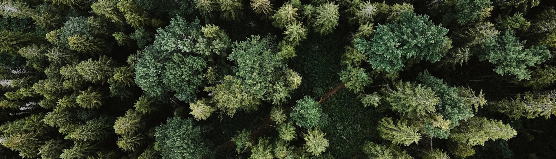 Gloves made of deerskin are a natural product.
