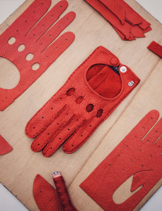 Panel cut for the production of peccary gloves