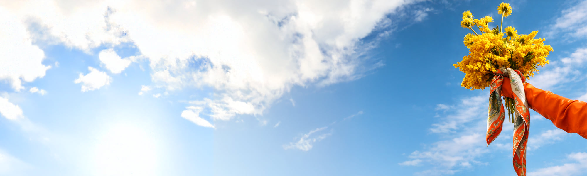 ROECKL Banner Tasche Olivia in Gelb aus Rinds-Nappaleder