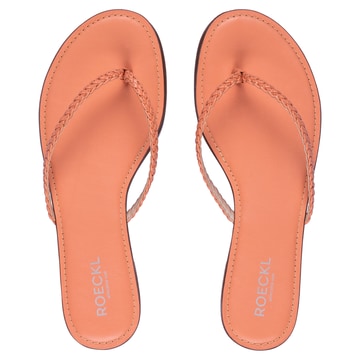 Becky - flamingo