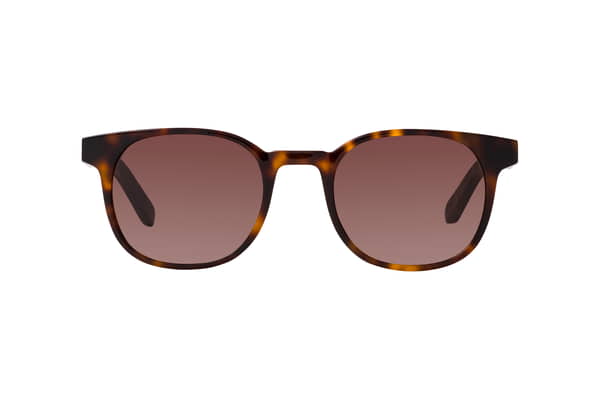 Sonnenbrille Herren  - brown