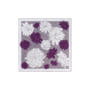 Daisy 64x64  - multi grape