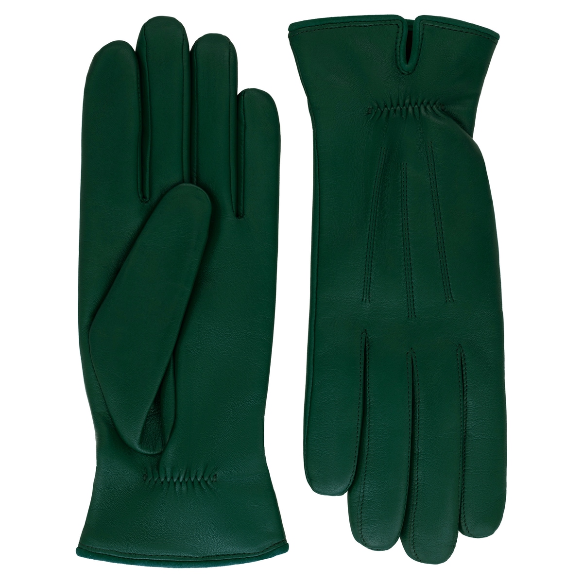 Antwerpen Plain - forest