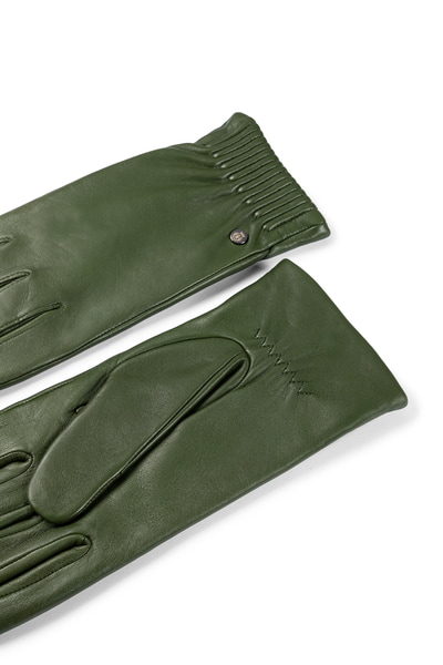 Arizona Touch  - forest