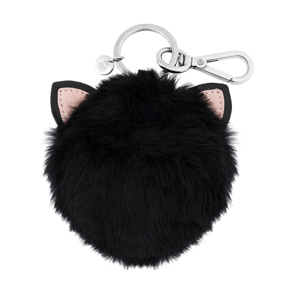 Cat - black