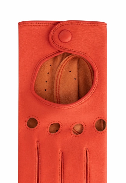 Rom Autofahrer  - flamingo