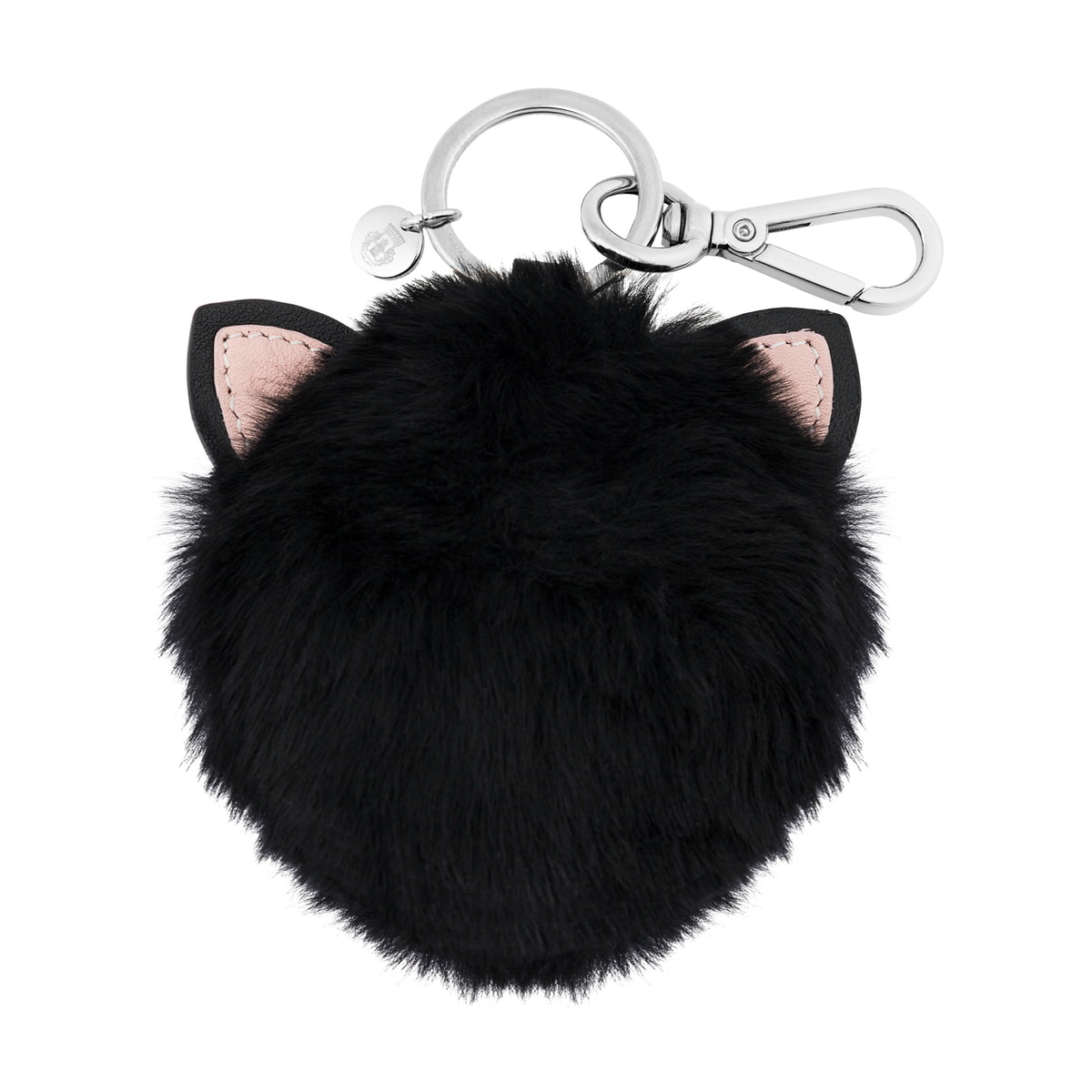 Cat - black