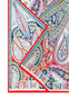 Paisley Festival 45x180 - multi red