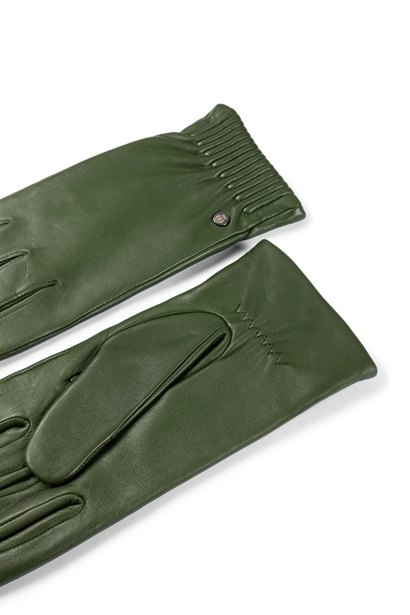 Arizona Touch  - forest