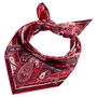 Check Paisley 53X53  - multi red