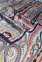 Paisley Reverie 70x180  - multi blue