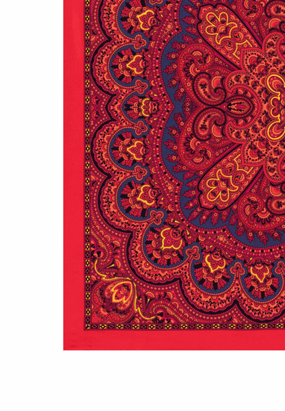 Young Paisley 53 x 53 - multi red