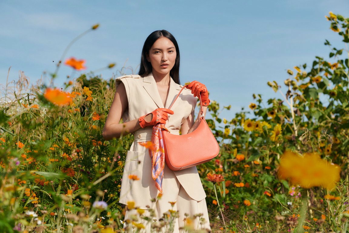 Rom Autofahrer  - flamingo