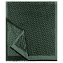 Logo Allure 80x180 - green