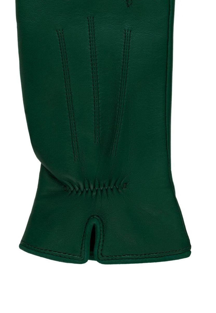 Antwerpen Plain - forest