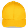 Baxley - yellow