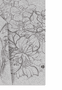 Summer Flower Schal 30 x 180 - silvergrey