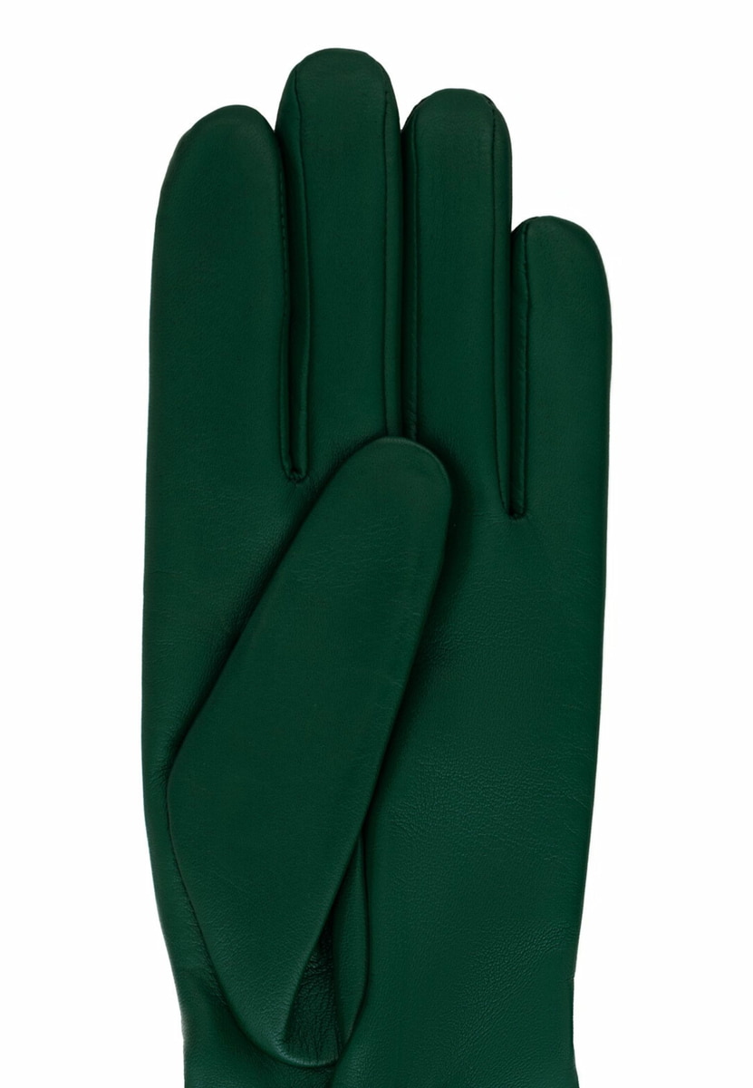 Antwerpen Plain - forest