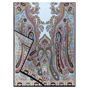 Paisley Reverie 70x180 - multi blue