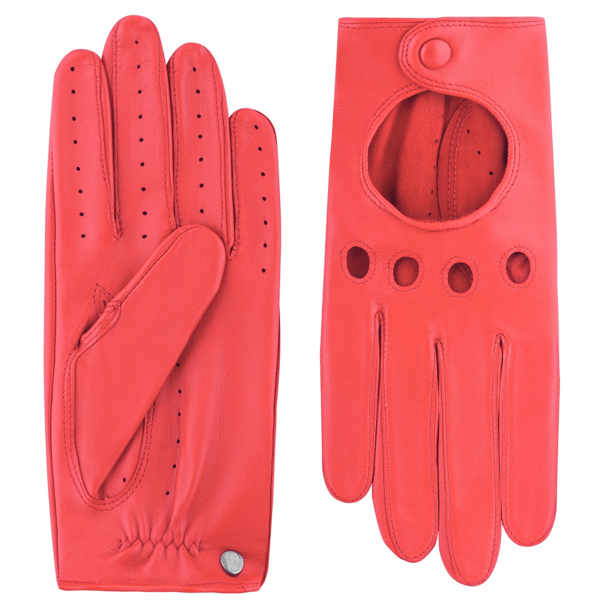 Rom Autofahrer  - hibiscus