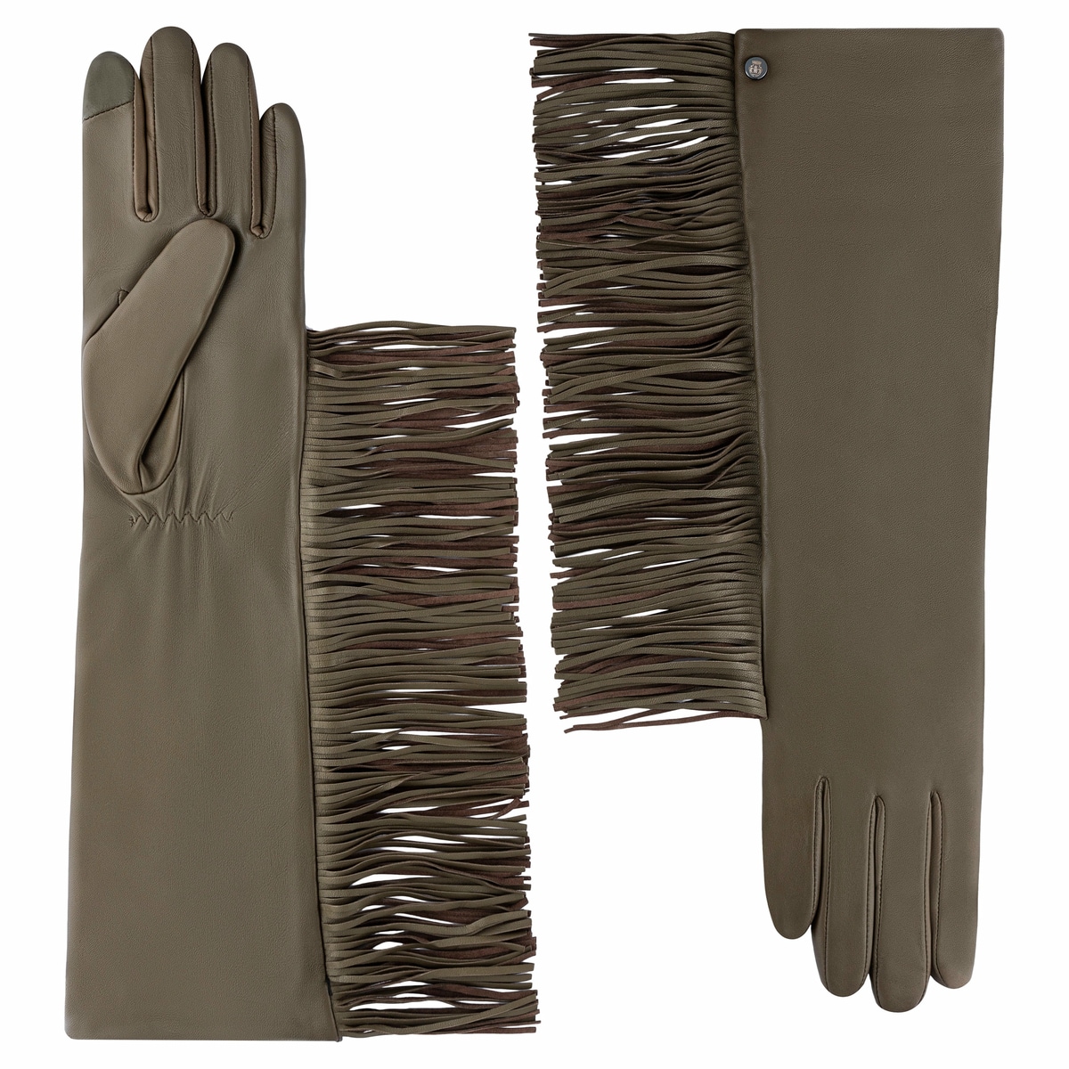 Phoenix Evening - moss