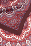Young Paisley 53 x 53 - multi scarlet