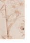 Summer Flower Schal 30 x 180 - almond