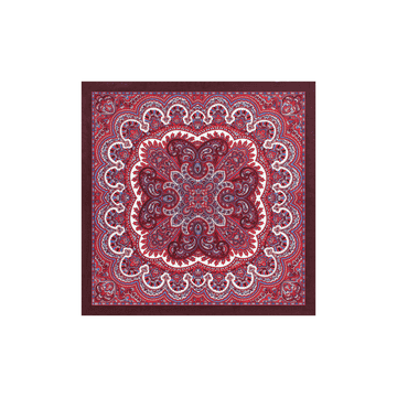 Young Paisley 53x53 - multi scarlet