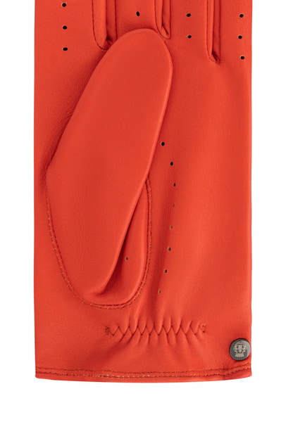 Rom Autofahrer  - flamingo