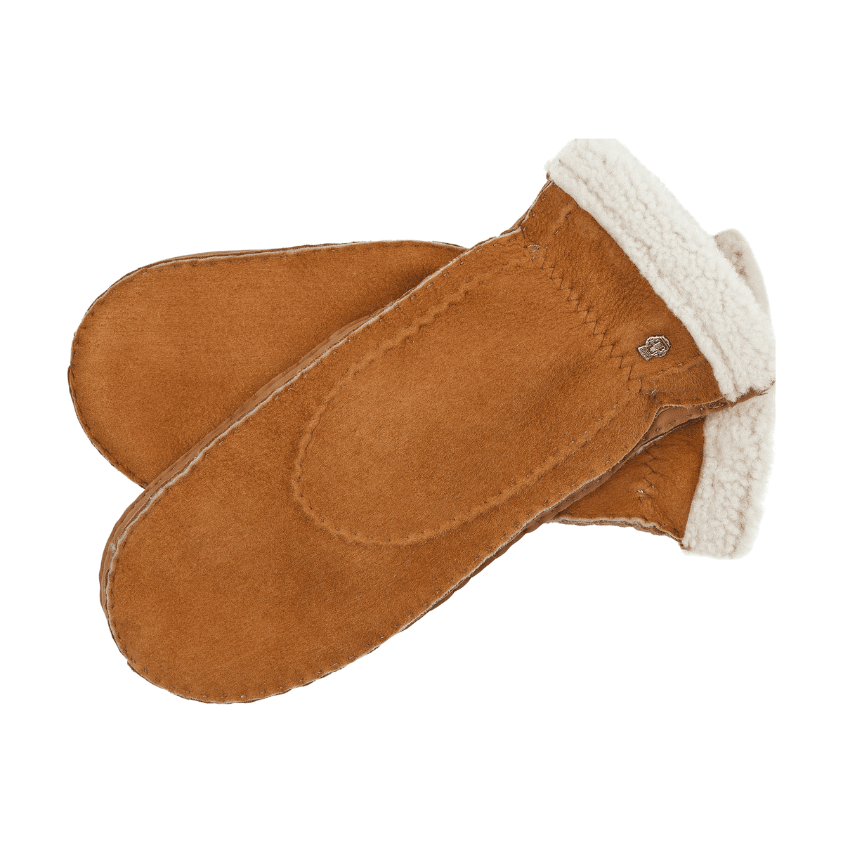 Reykjavik Faeustling - camel